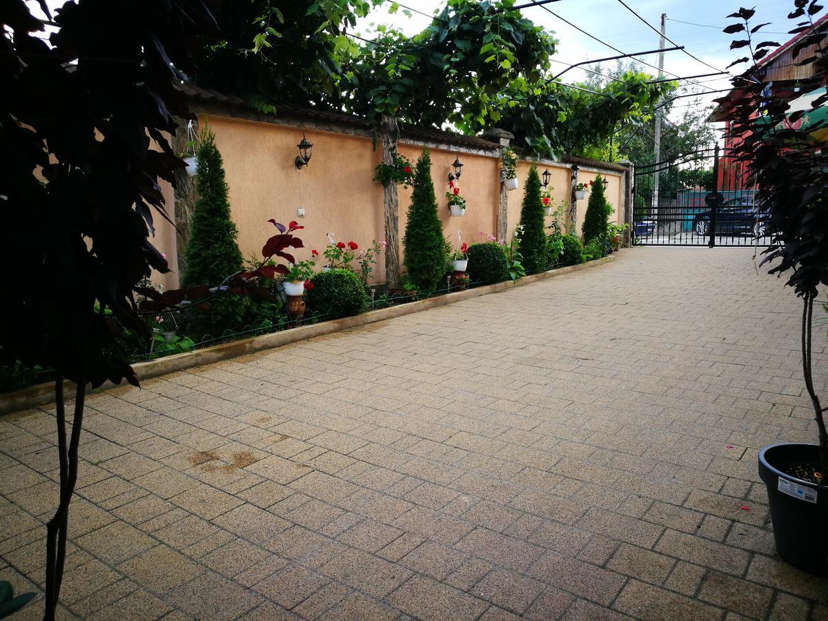 Pensiunea Remus Novaci-Străini Exterior photo