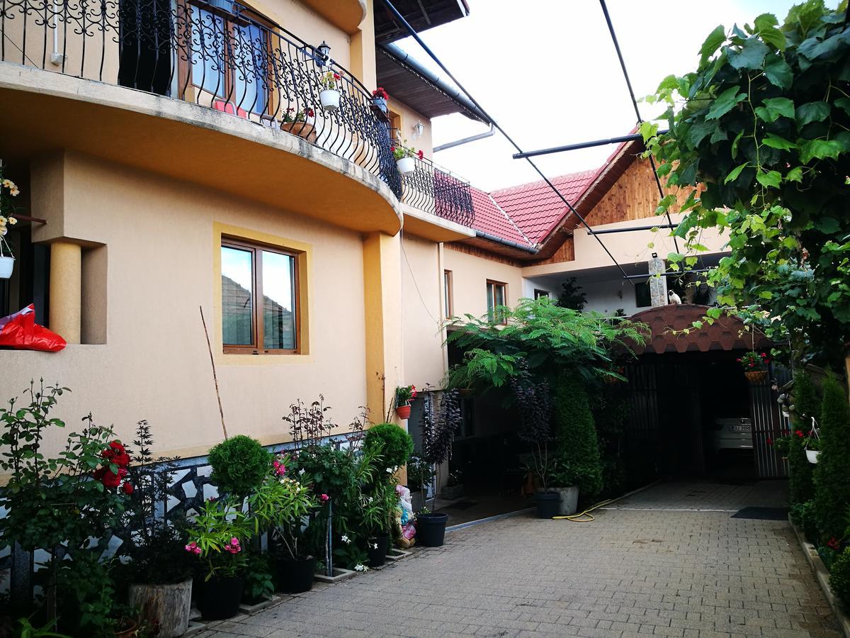 Pensiunea Remus Novaci-Străini Exterior photo
