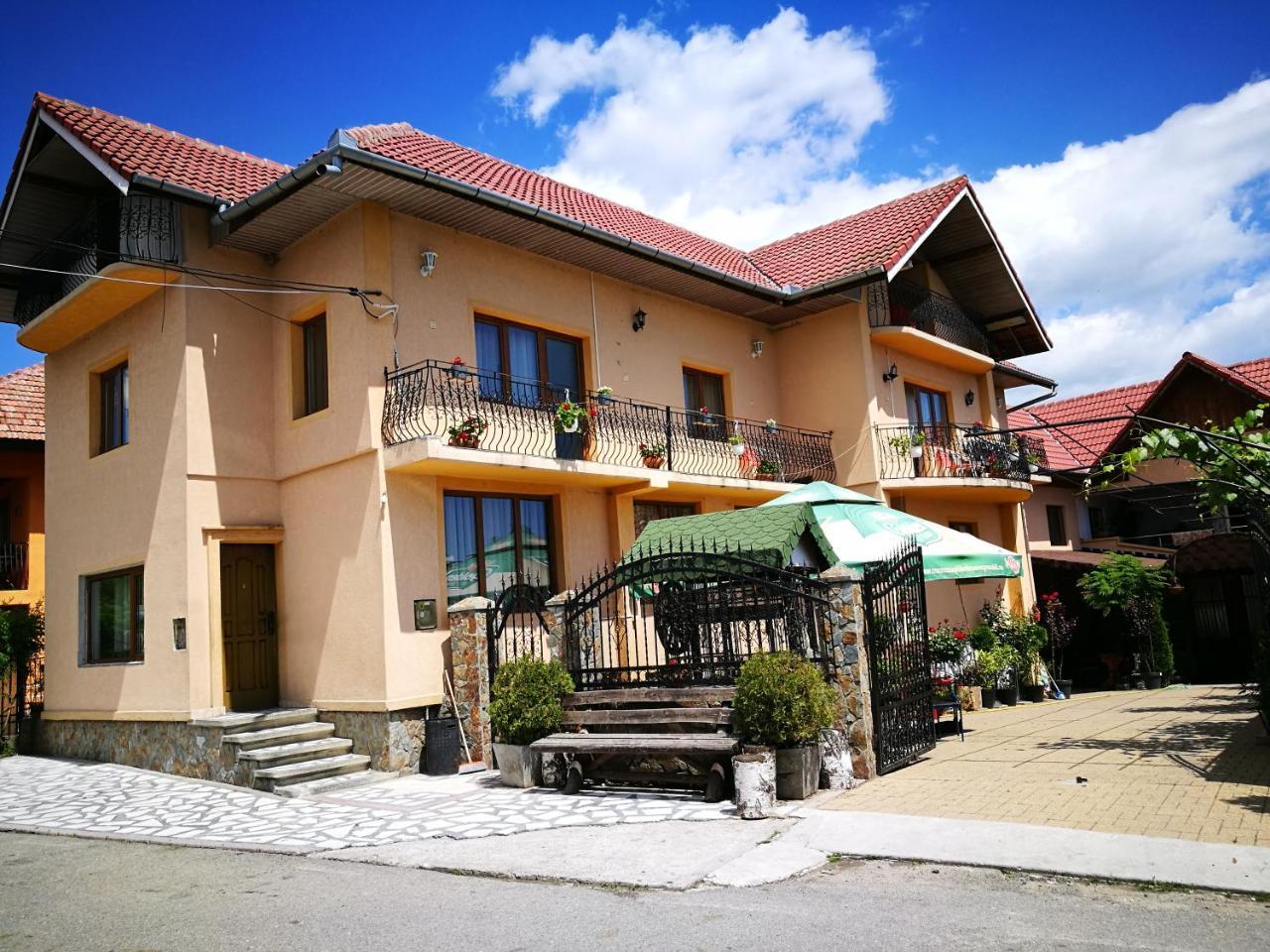 Pensiunea Remus Novaci-Străini Exterior photo
