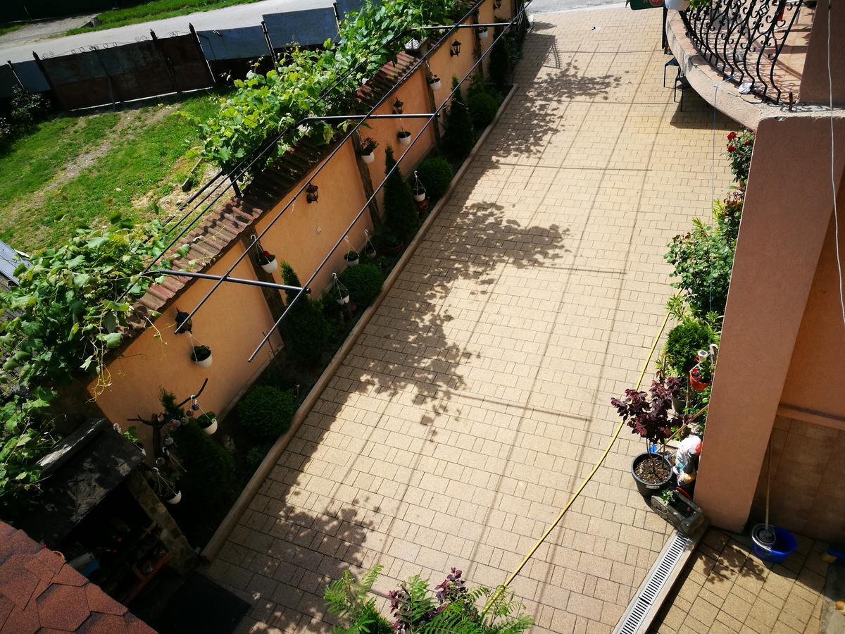 Pensiunea Remus Novaci-Străini Exterior photo